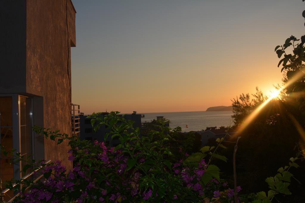 Villa Goxhi Borsh Rum bild